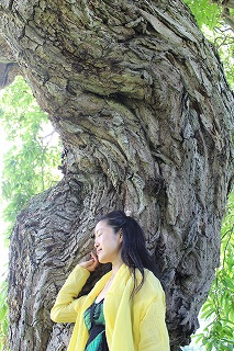 http://rieko-sugihara.com/information/item/sIMG_9128kokoro%20tree%20rieko.jpg