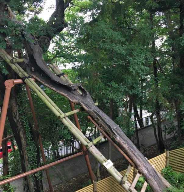 Scoring essay test ppt image