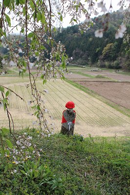 http://rieko-sugihara.com/photo_essay/item/sIMG_7693kamihochi2014%20jizousama.jpg