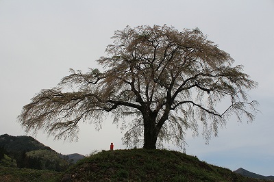 http://rieko-sugihara.com/photo_essay/item/sIMG_7741kamihocchi2014%20all.jpg